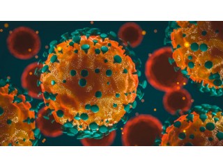 Информация о работе в связи с распространением коронавирусной инфекции